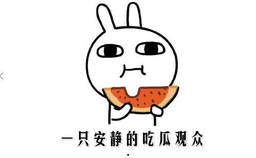 快手网红吃瓜网站,热门事件背后的真相与笑料 第3张 快手网红吃瓜网站,热门事件背后的真相与笑料 第3张