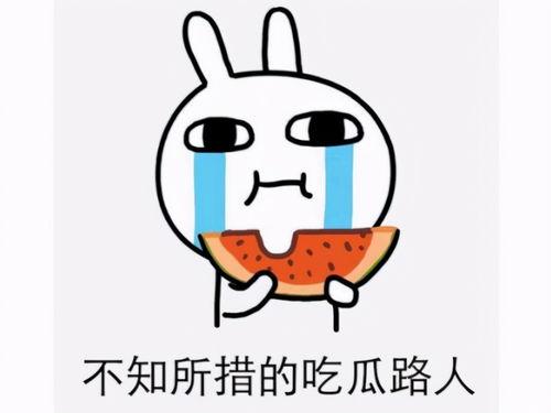 吃瓜网被骗,网络诈骗背后的惊人真相  第3张