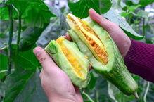 网红吃瓜中国,揭秘网络红人的幕后故事  第2张