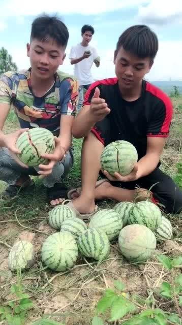 网红吃瓜中国,揭秘网络红人的幕后故事  第3张