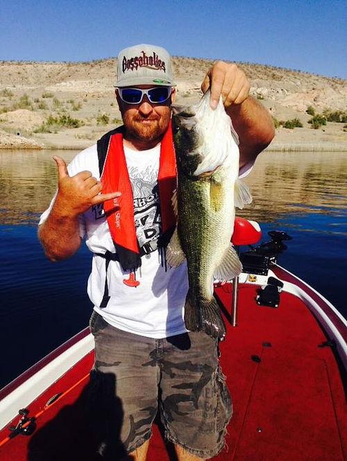 娱乐吃瓜钓鱼视频大全下载 第3张 娱乐吃瓜钓鱼视频大全下载 第3张