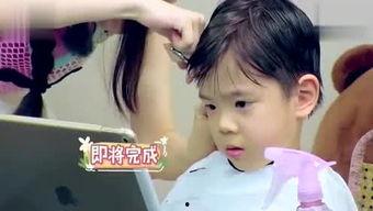 小文文吃瓜说娱乐,揭秘娱乐圈幕后故事  第3张