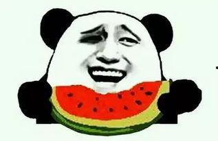 娱乐吃瓜酱防止智力退化,智慧不退——趣味生活,智力提升之道 第3张 娱乐吃瓜酱防止智力退化,智慧不退——趣味生活,智力提升之道 第3张