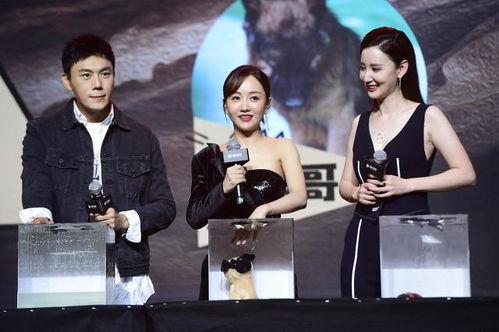 吃瓜新娱乐 第2张 吃瓜新娱乐 第2张